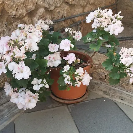 Captain's 2* Spetses Town